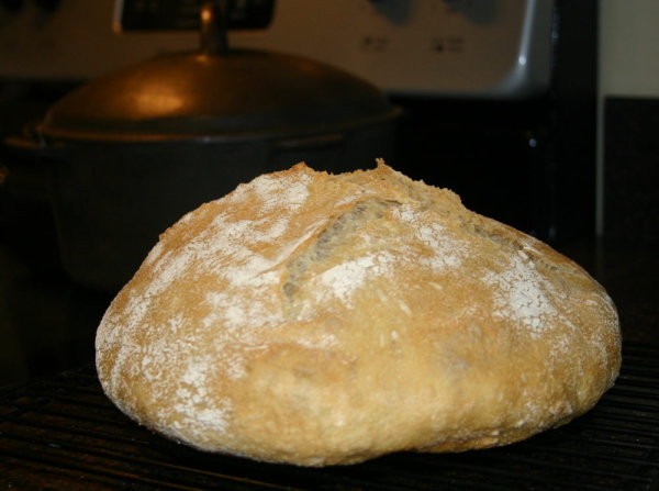 Dutch Oven Artisan Bread